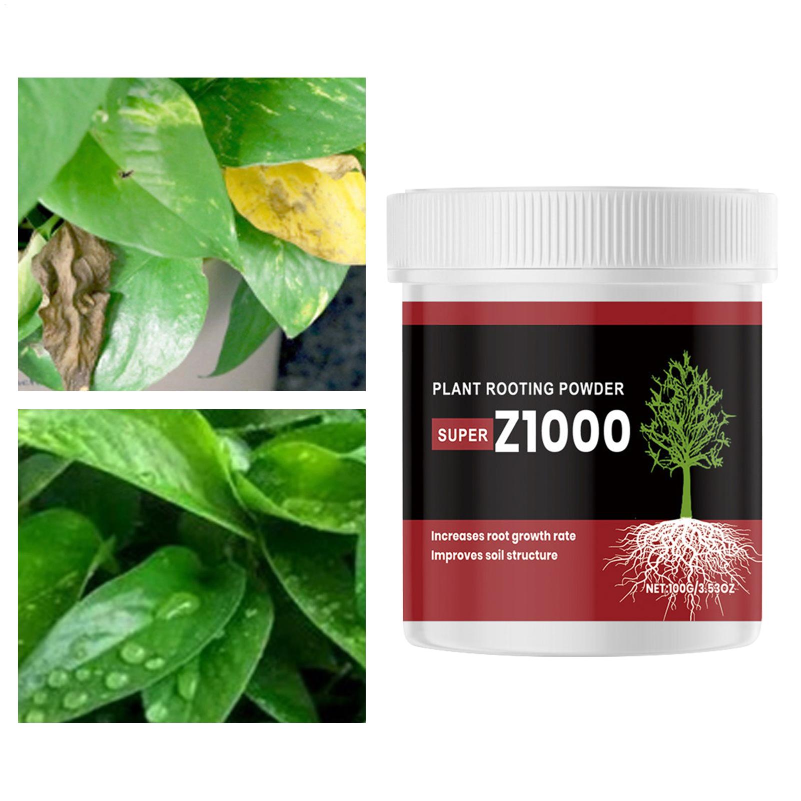 Proszek z hormonami stymulując – Root Stimulator Liquid recenzja i cena