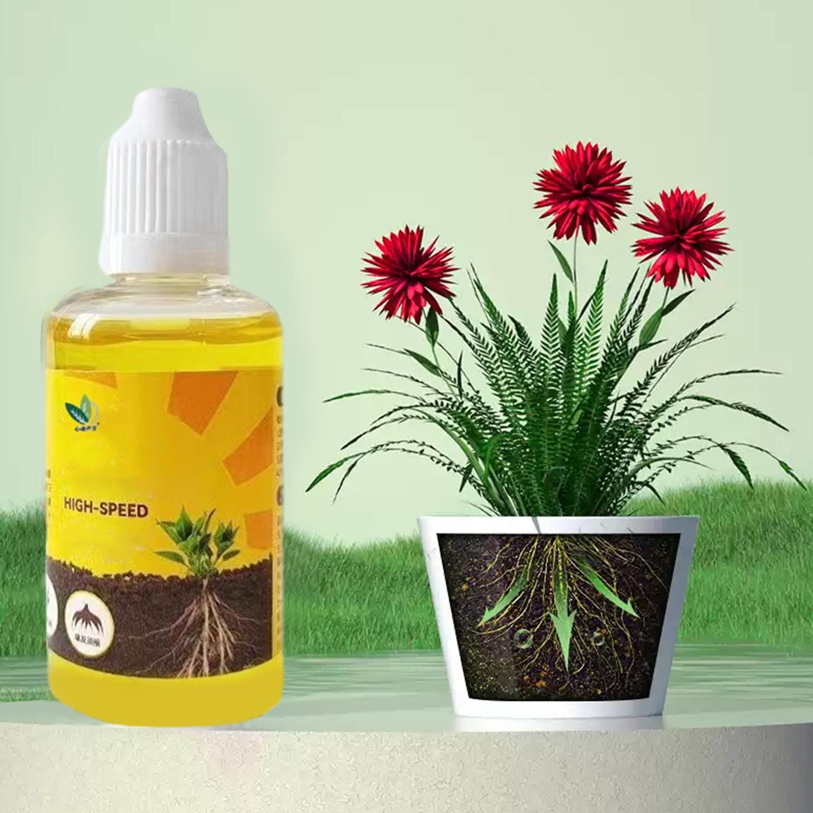 Płynny stymulator ukorzeniania – Root Stimulator Liquid recenzja i cena