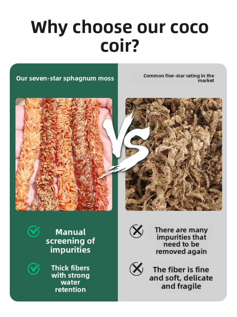 Chilijanski mchy sferagnowy, 1 – Sphagnum Moss Dry recenzja i cena
